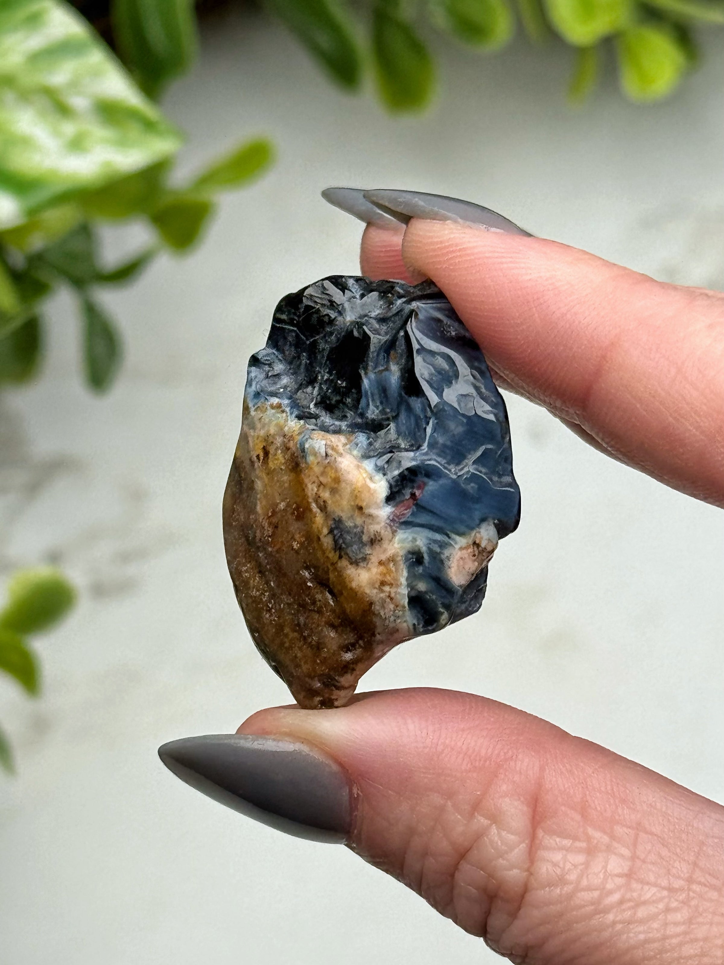 Pietersite Freeform - #19