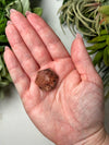 Garden Quartz Hexagon - #12