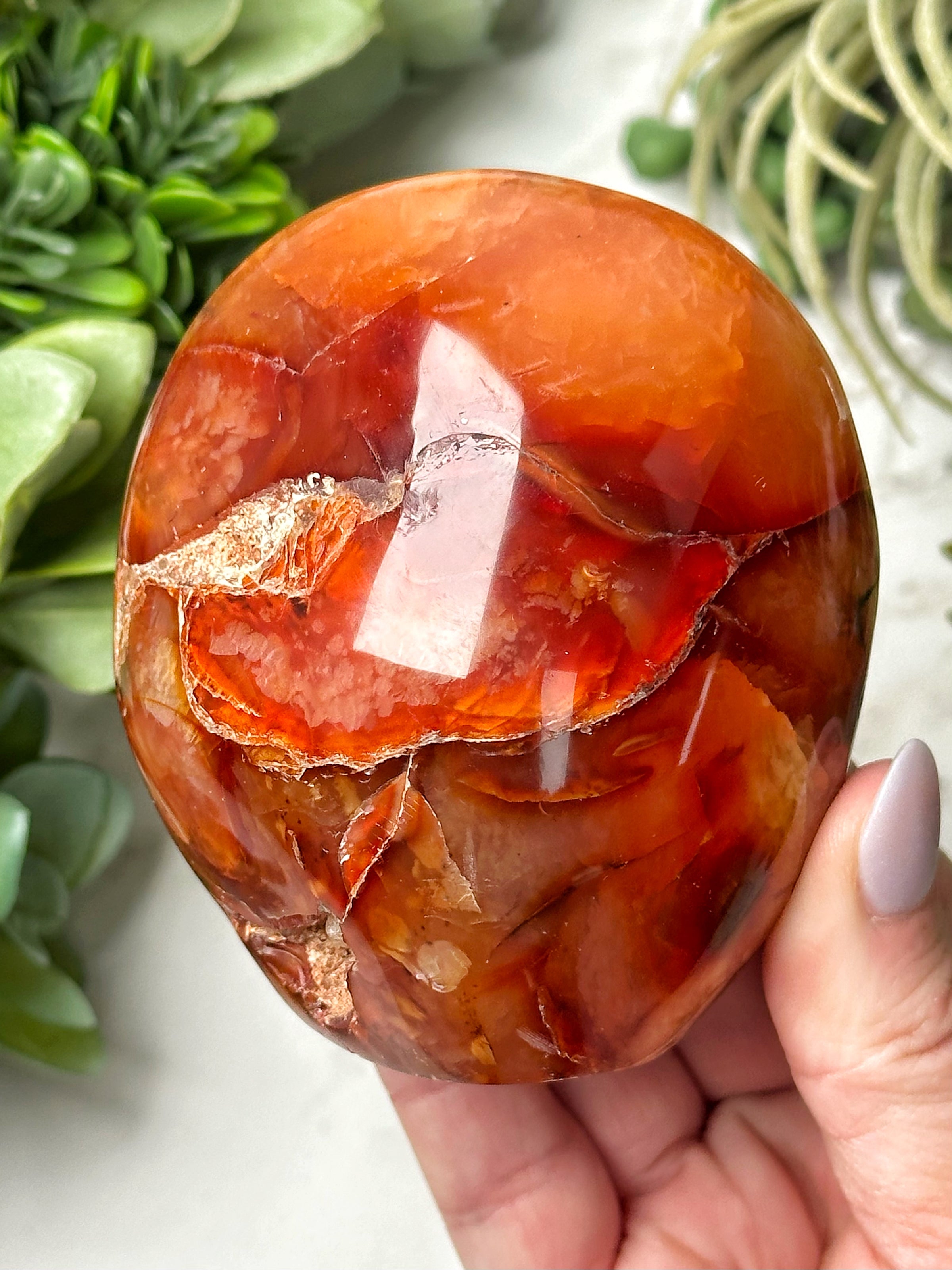 Carnelian Freeform - #18