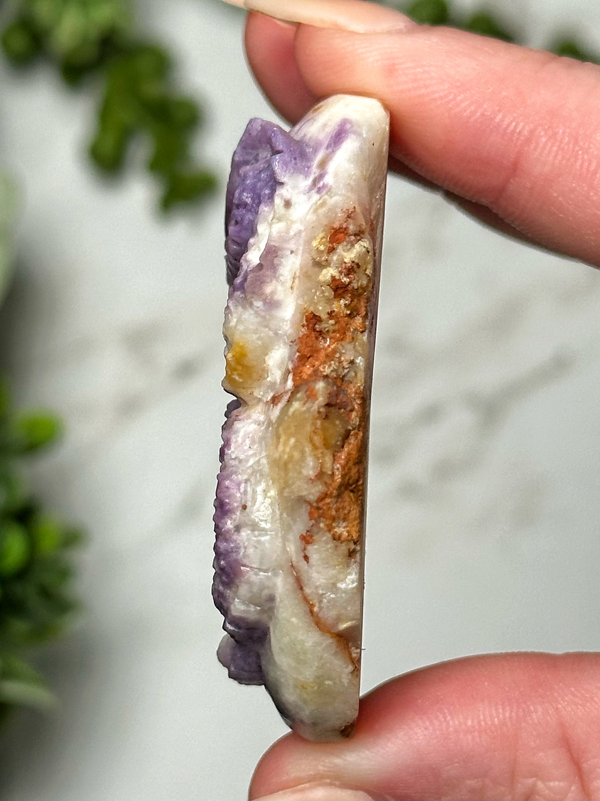 Morado Opal Dragon - #1