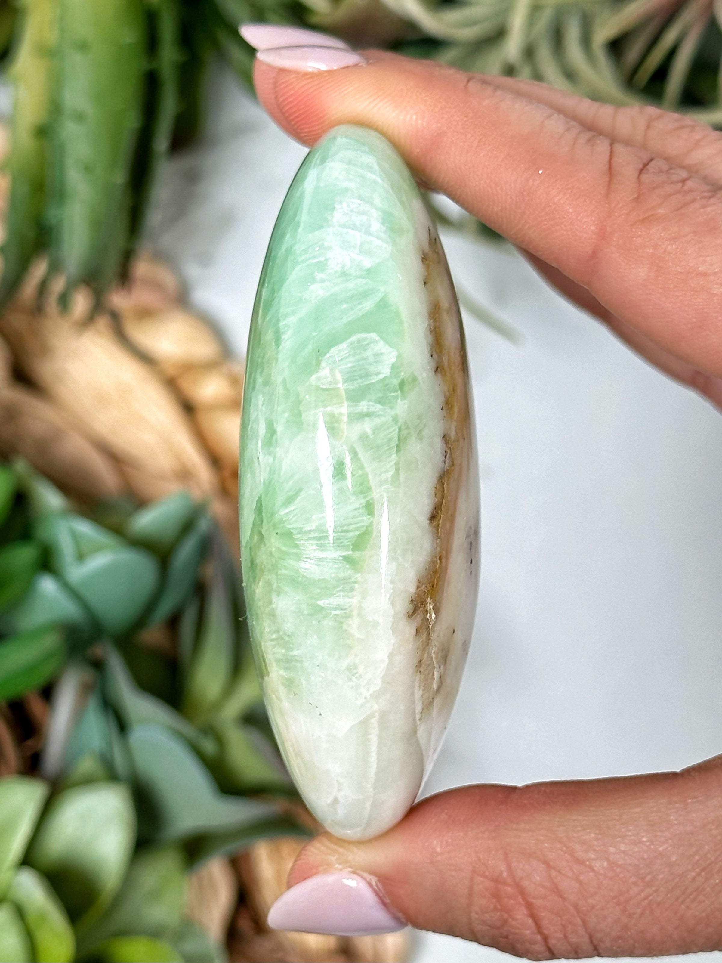 Caribbean Calcite Palmstone - #3