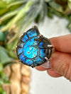 Labradorite Shaped into Ammonite Ring - #1