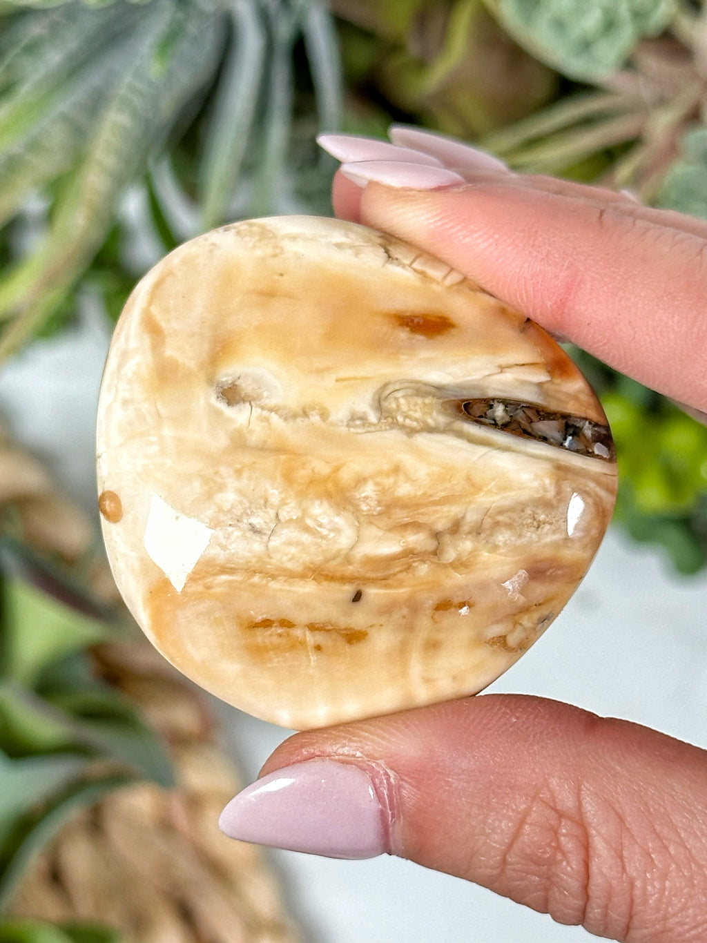 Woolly Mammoth Molar Palmstone - #3 – lovingthyselfrocks