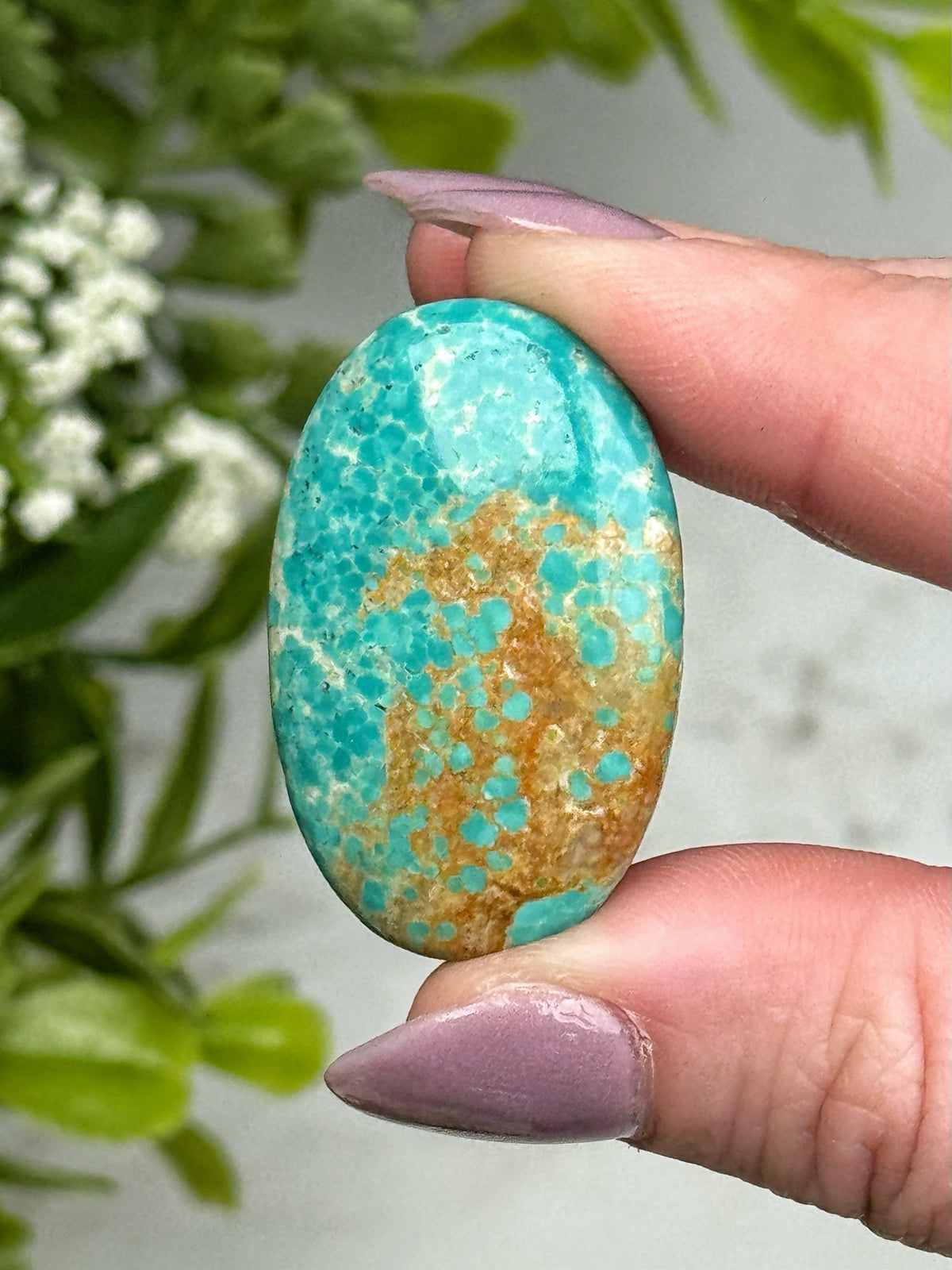 Turquoise Palmstone - #16