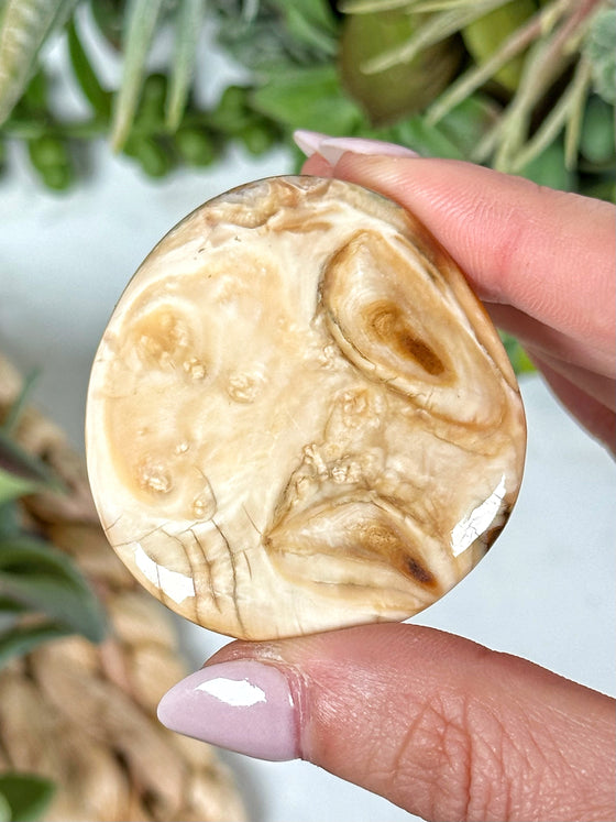 Woolly Mammoth Molar Palmstone - #2