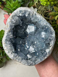Raw Celestite - #7