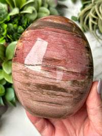 Petrified Wood Freeform - #11