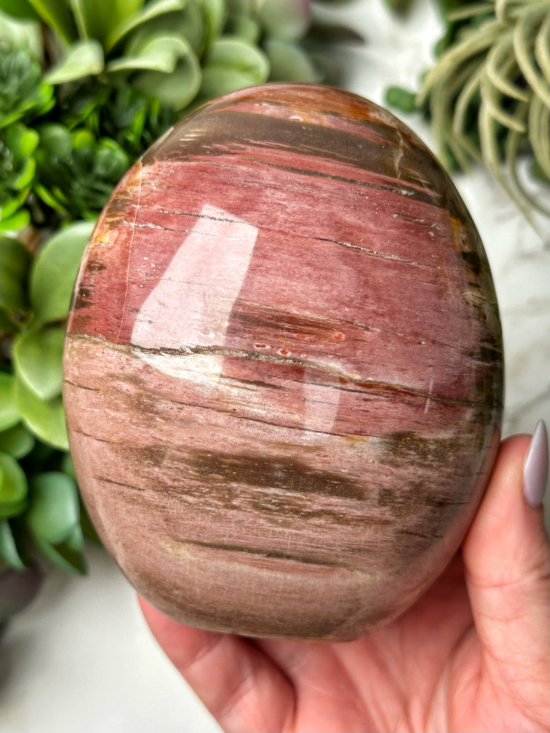 Petrified Wood Freeform - #11