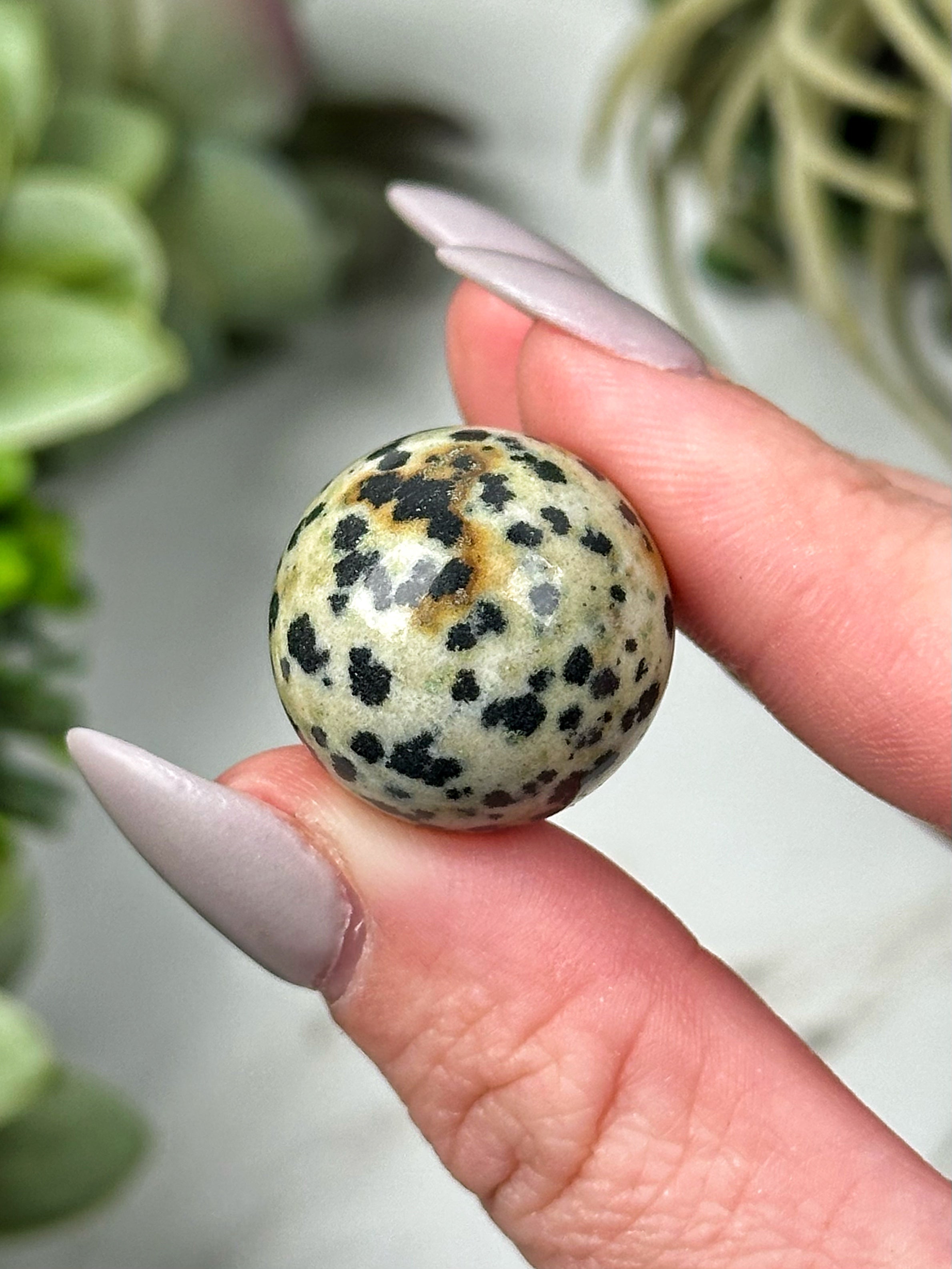Dalmatian Jasper Mini Spheres - Root Chakra - No. 34