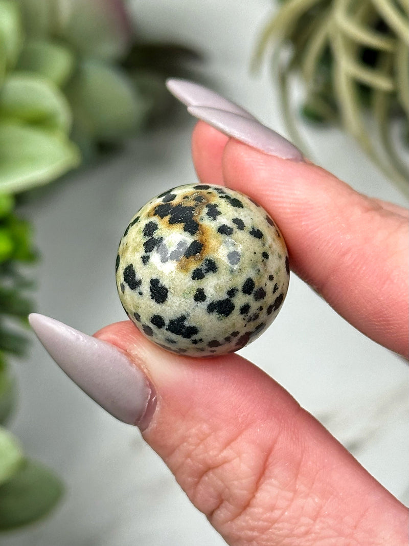 Dalmatian Jasper Mini Spheres - Root Chakra - No. 34