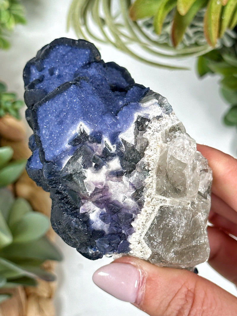 Blueberry Fluorite on Quartz - #1