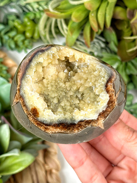 Crystalized Septarian Specimen - #2