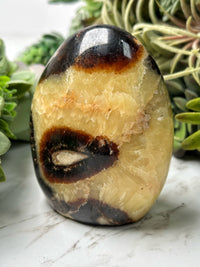 Septarian Freeform - #15