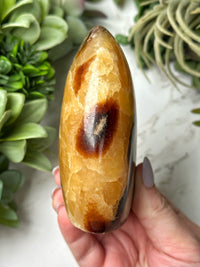 Septarian Freeform - #18