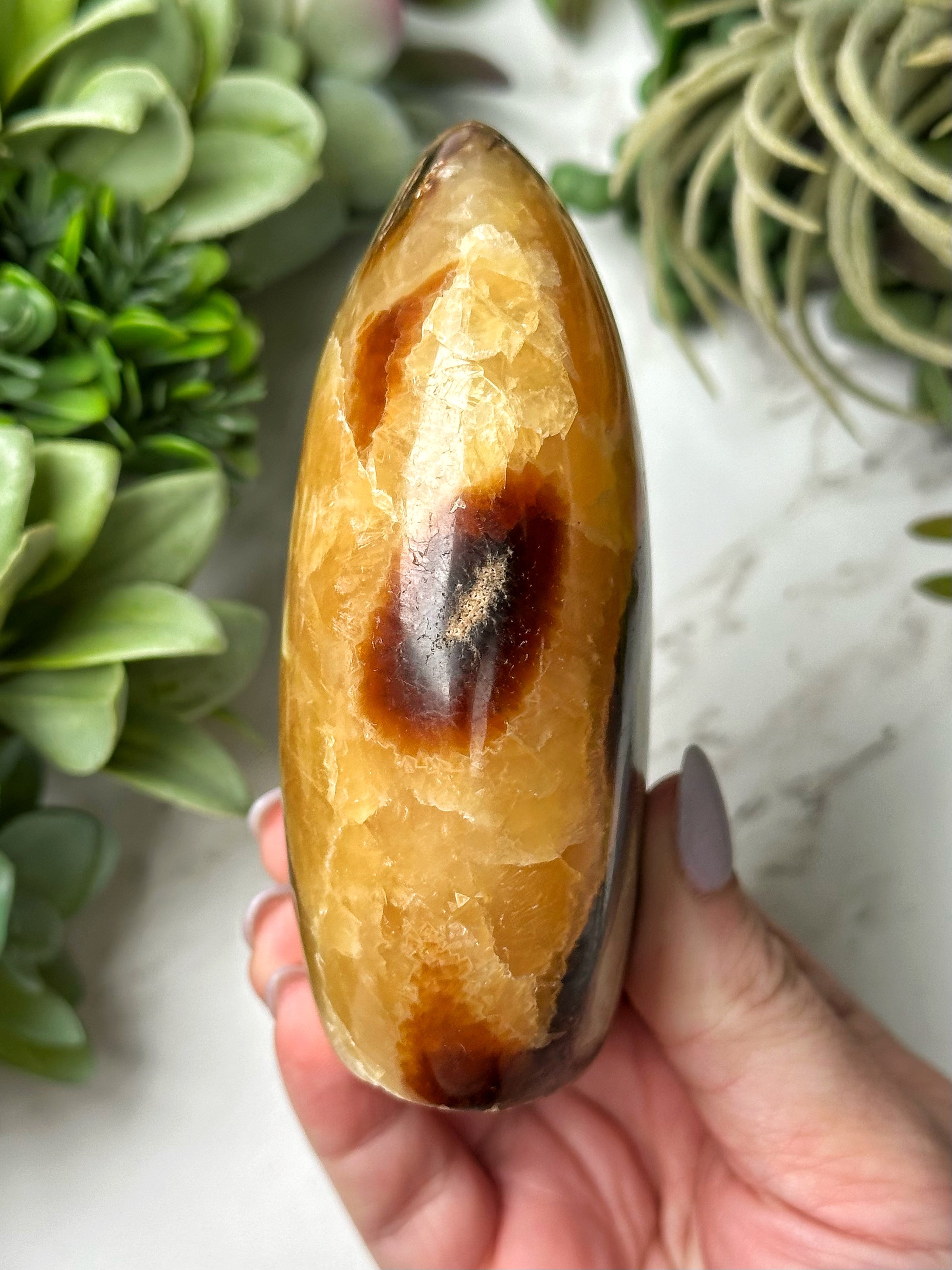 Septarian Freeform - #18