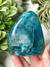 Blue Apatite Freeform - #11