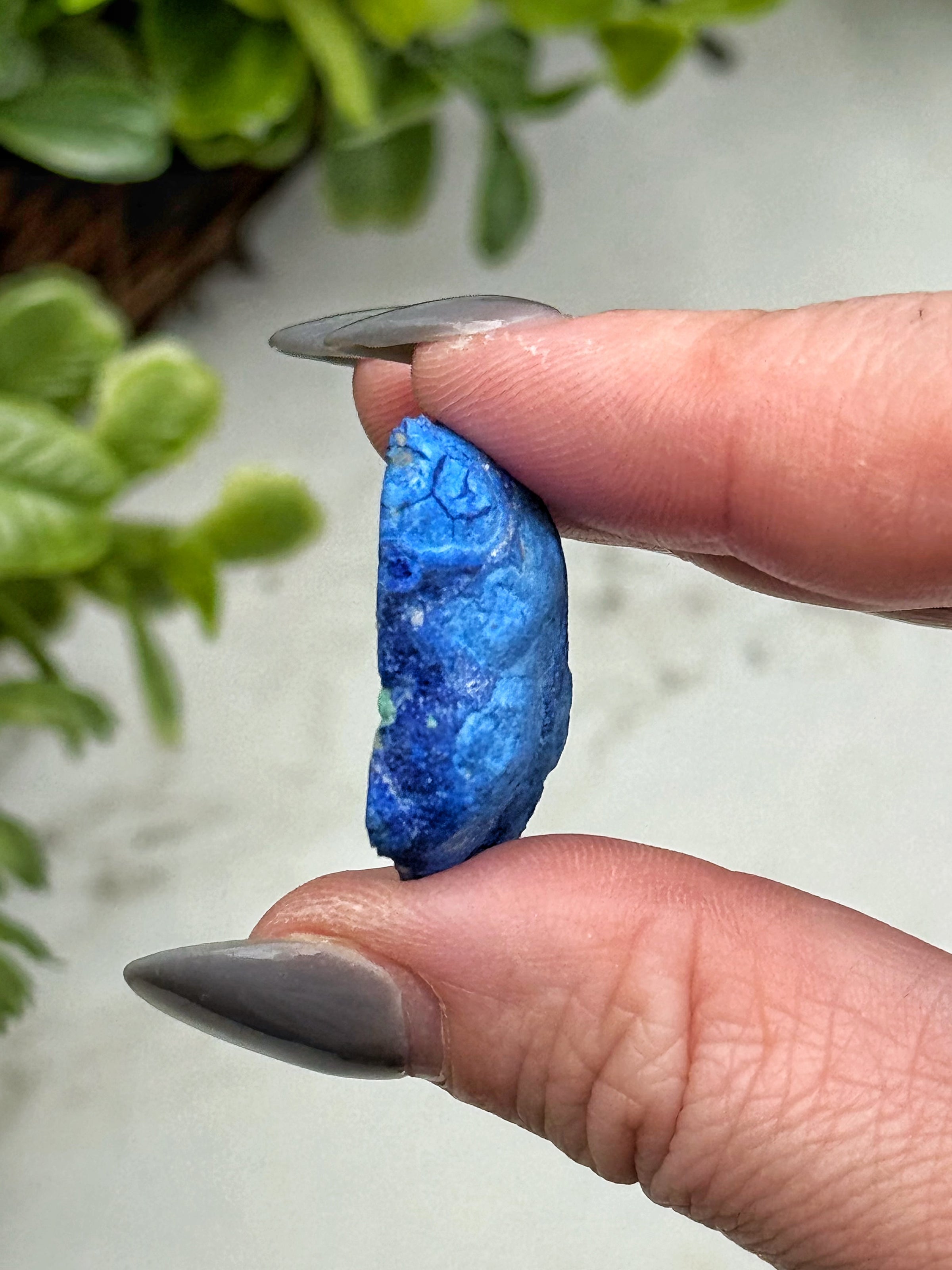 Blueberry Azurite Geode - #7
