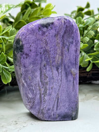 Charoite Freeform - #1