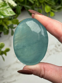 Aquamarine Palmstone - #12