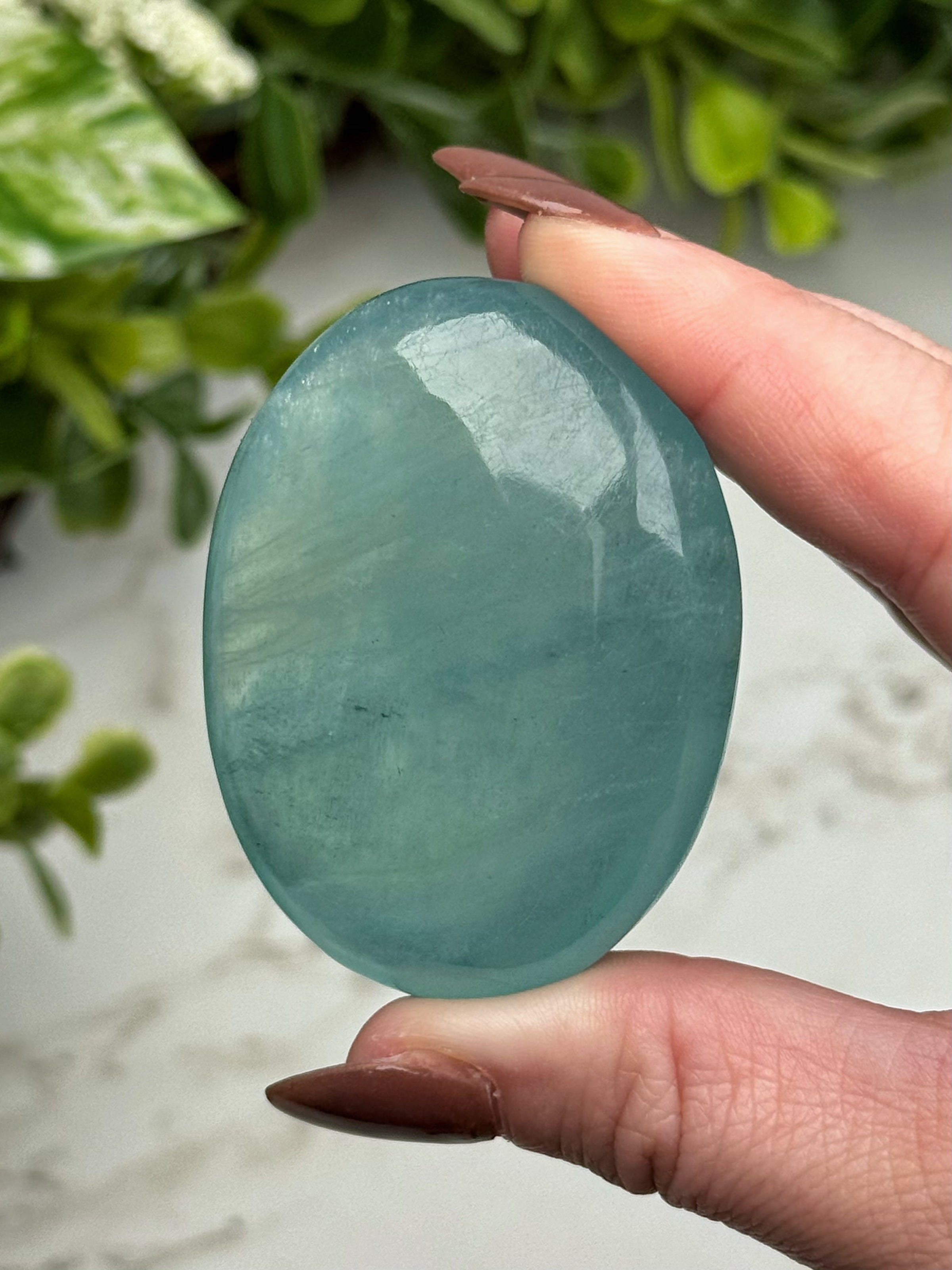 Aquamarine Palmstone - #12