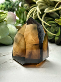 Citrine Point - #13