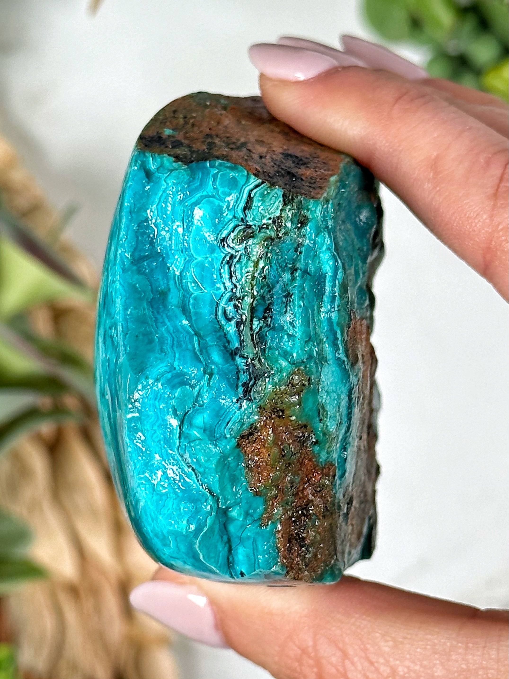 Chrysocolla Freeform - #1