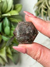 Garden Quartz Hexagon - #10