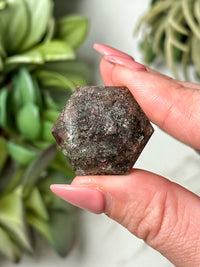 Garden Quartz Hexagon - #10