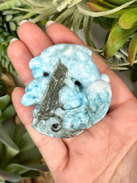 Larimar Dolphins - #1