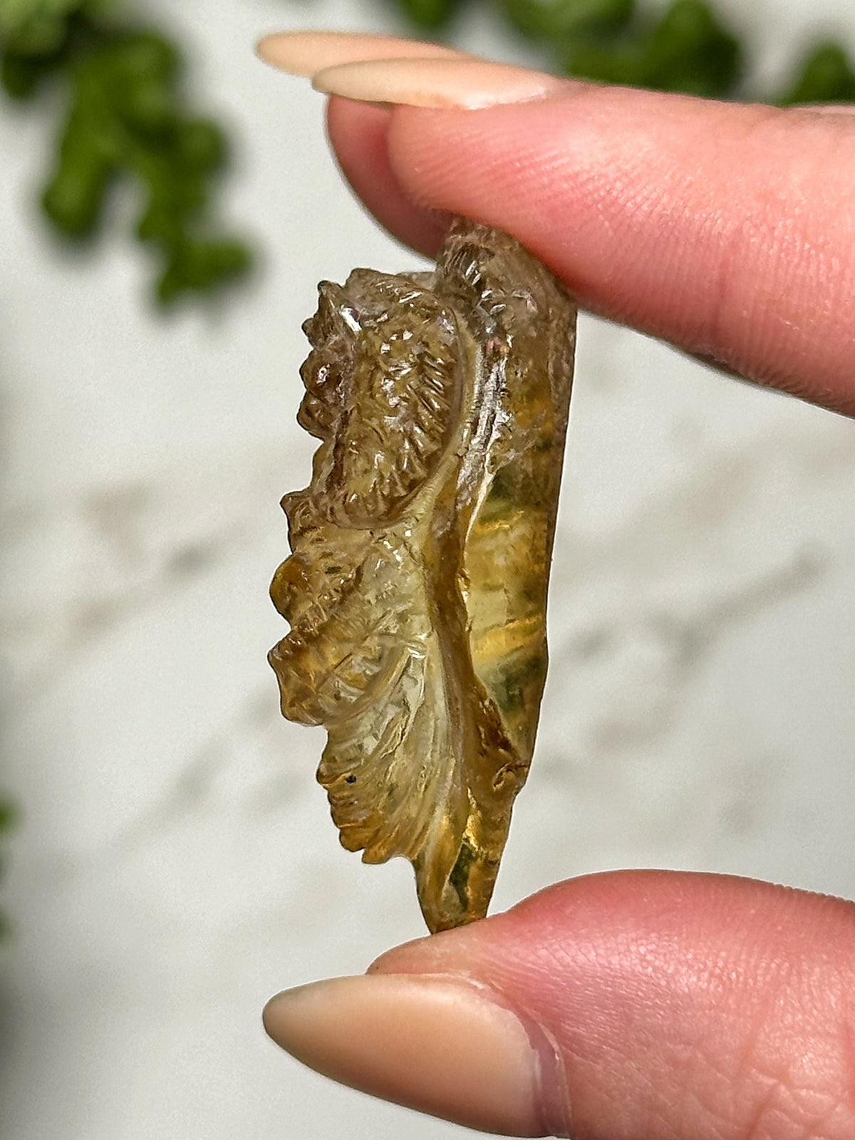 Citrine Dragon - #1