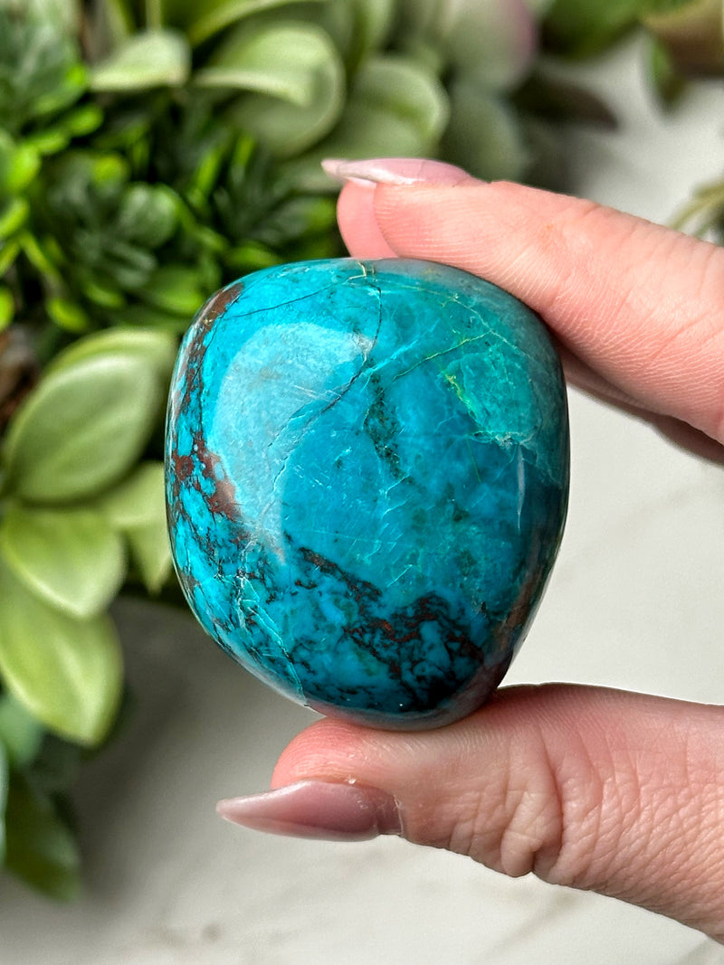 Chrysocolla Palmstone - #11