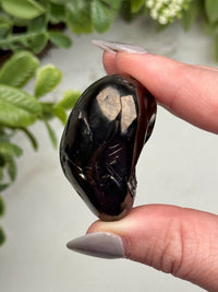 Elite Shungite Palmstone - #14