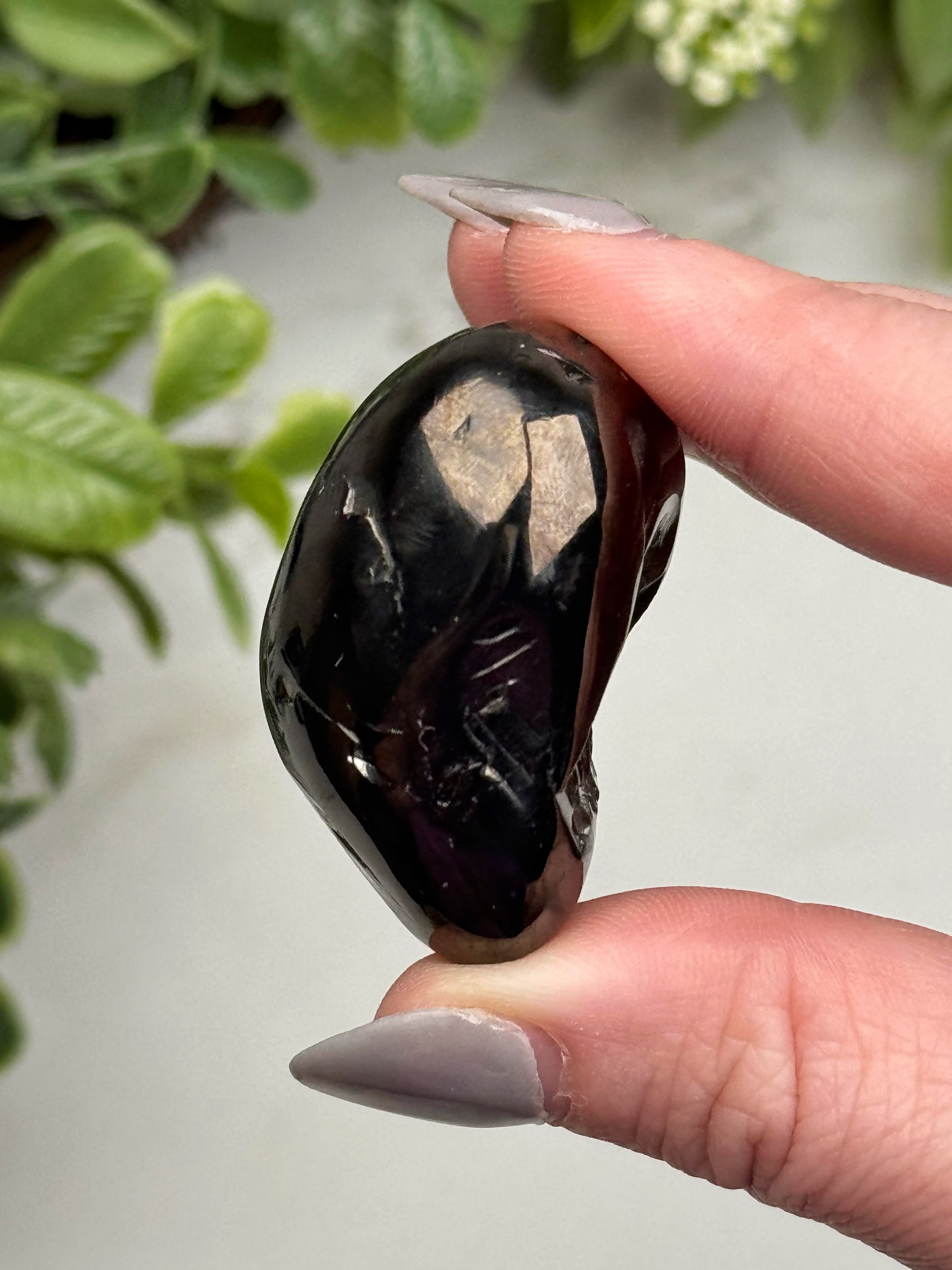 Elite Shungite Palmstone - #14