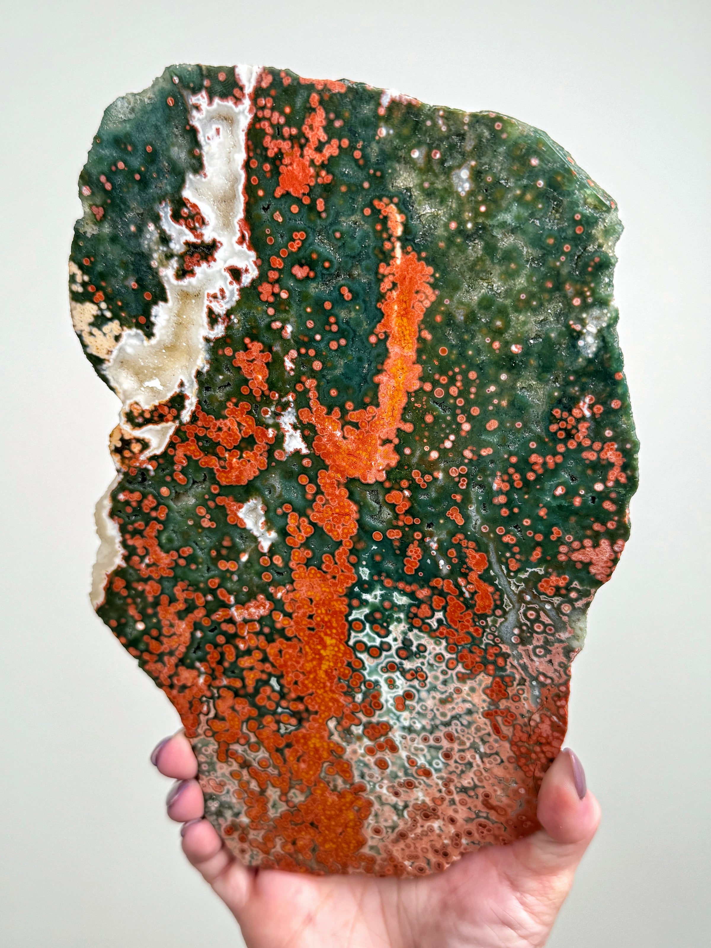 Old Stock Ocean Jasper Slab - #2