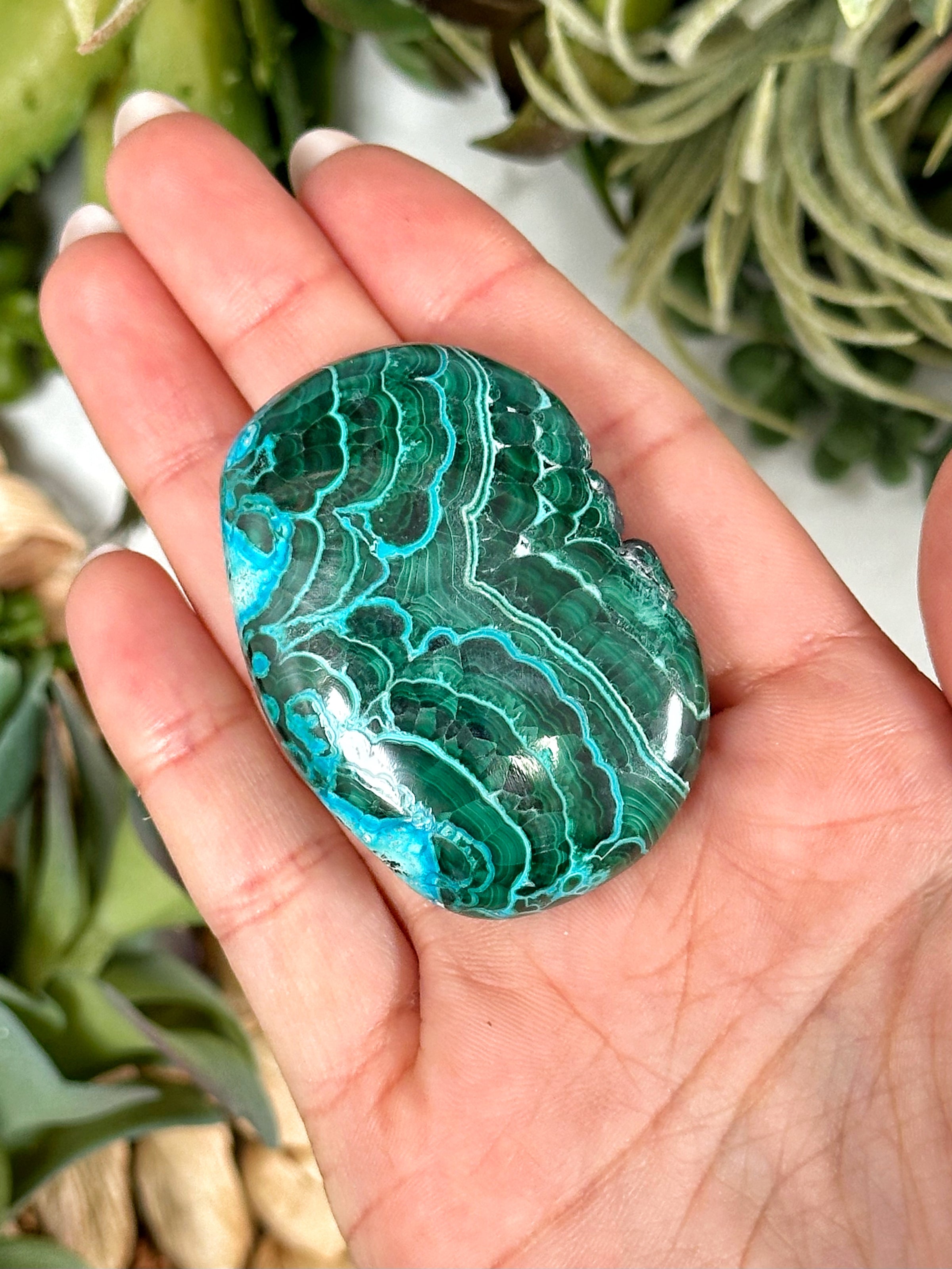 Chrysocolla Malachite Palmstone - #2