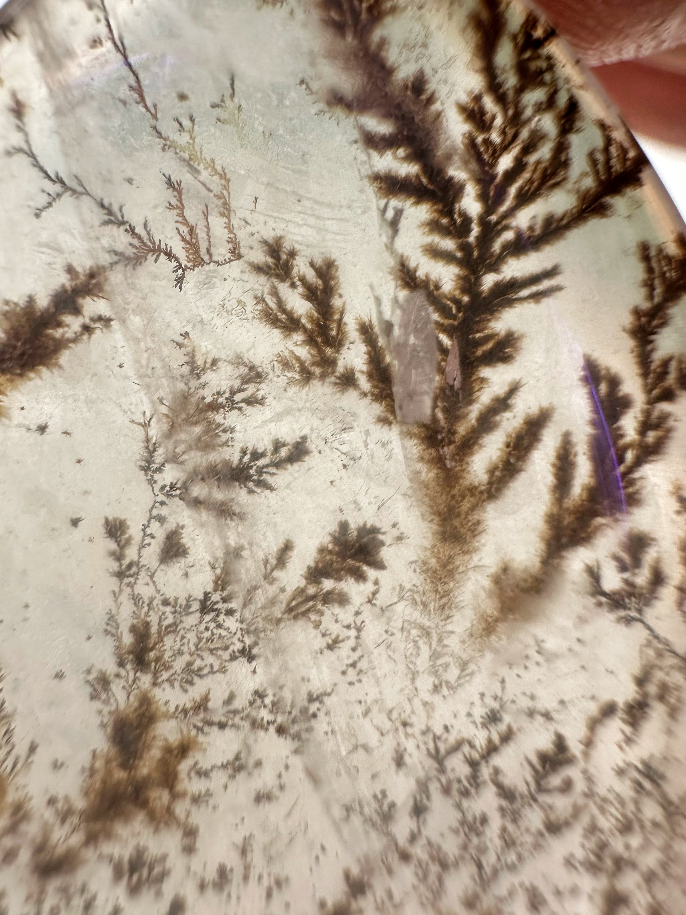 Dendritic Quartz Cabochon - #1