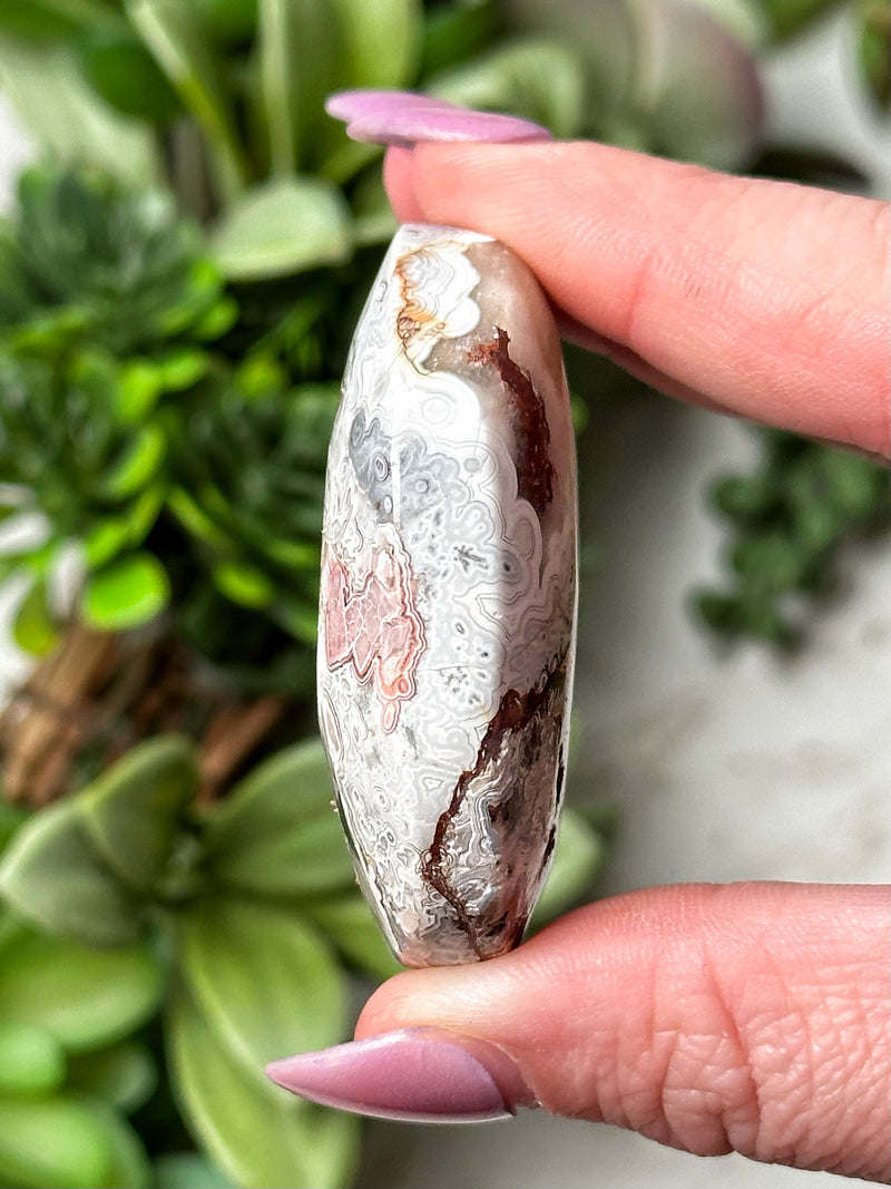 Crazy Lace Agate Palmstone - #11