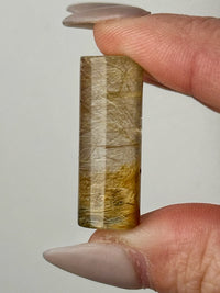 Gold Rutile Cylinder - #6