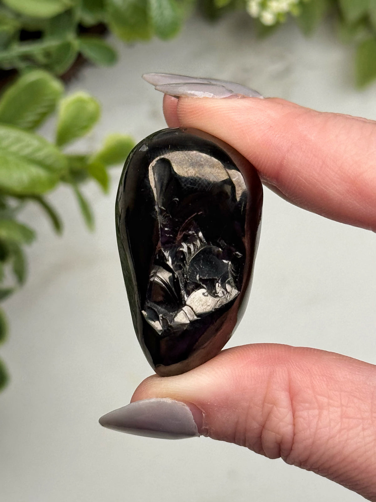 Elite Shungite Palmstone - #14