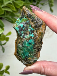 Raw Blue Opalized Petrified Wood - #13