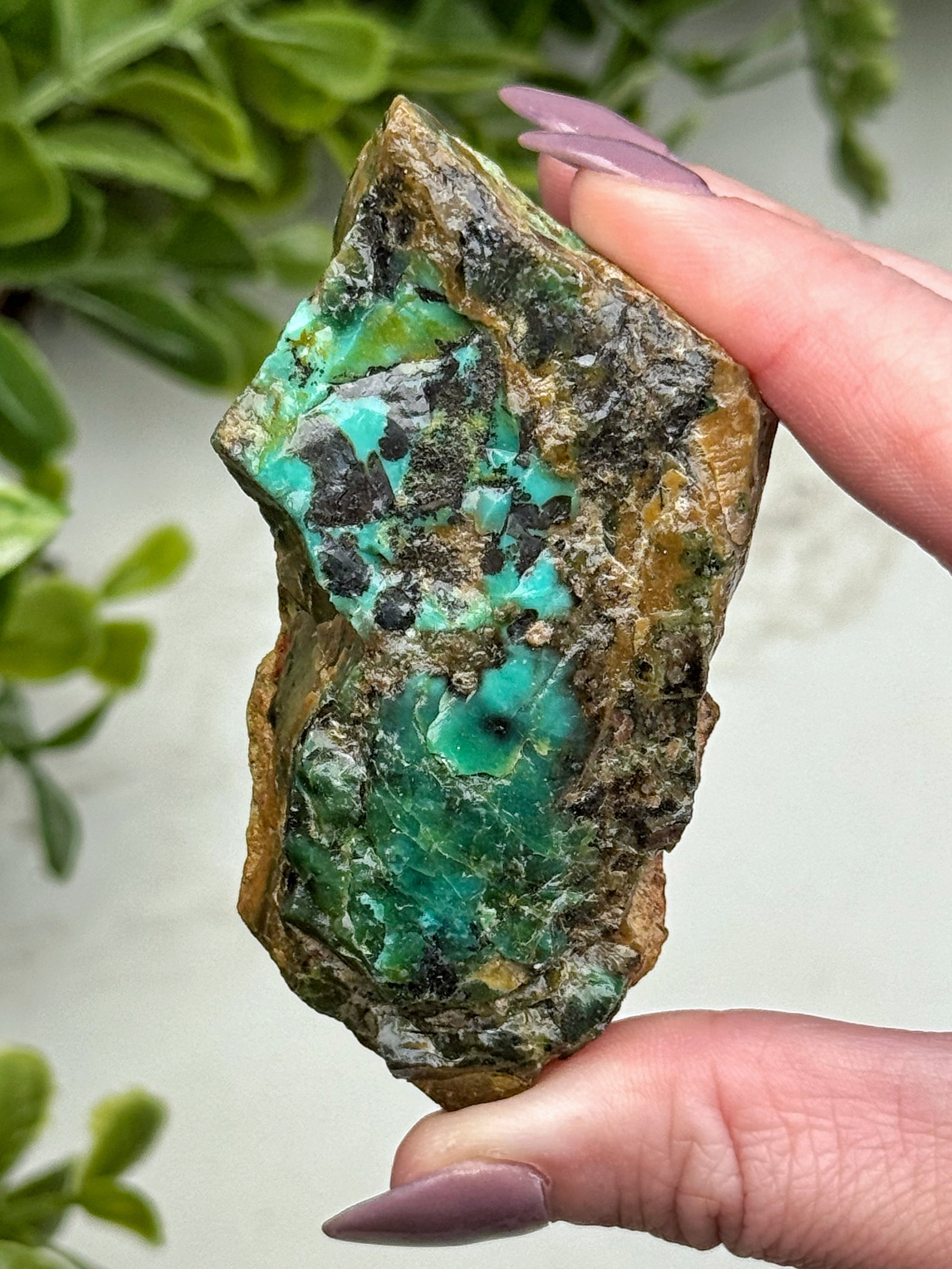 Raw Blue Opalized Petrified Wood - #13