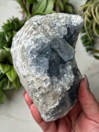 Raw Celestite - #6