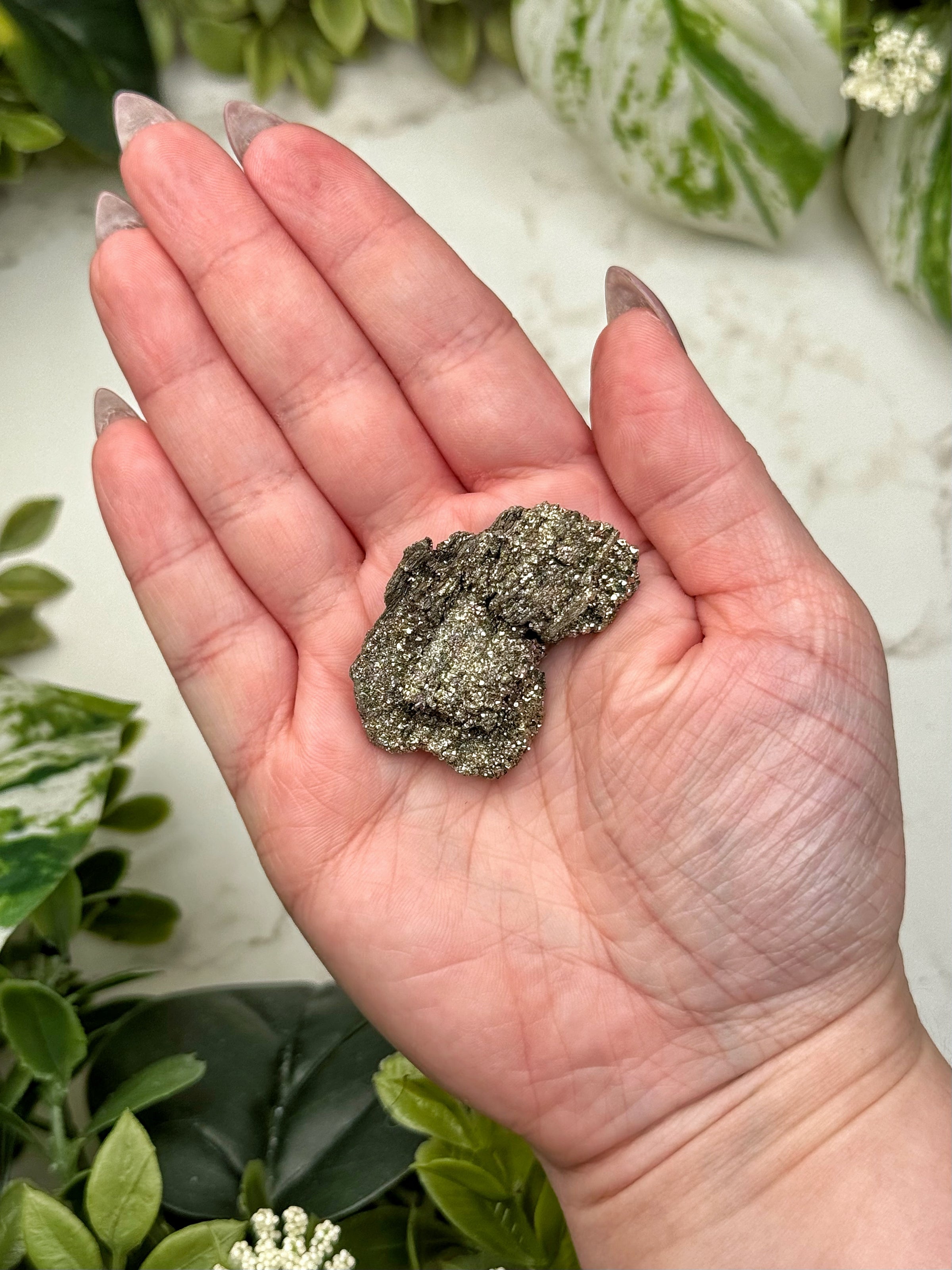 Raw Pyrite on Petrified Wood - #12