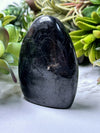 Black Tourmaline Freeform - #12