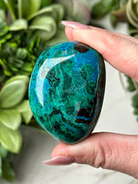 Chrysocolla Palmstone - #14
