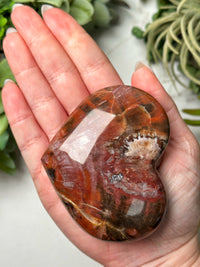 Petrified Wood Heart - #13
