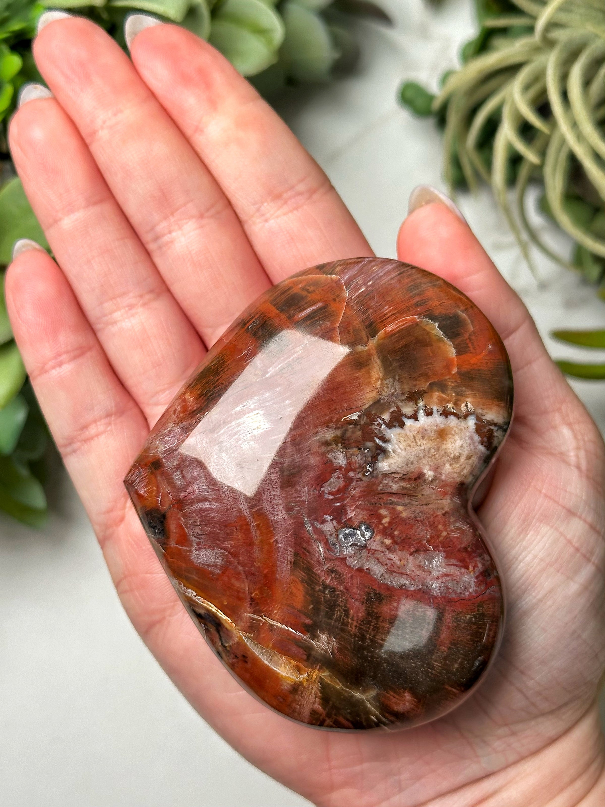 Petrified Wood Heart - #13