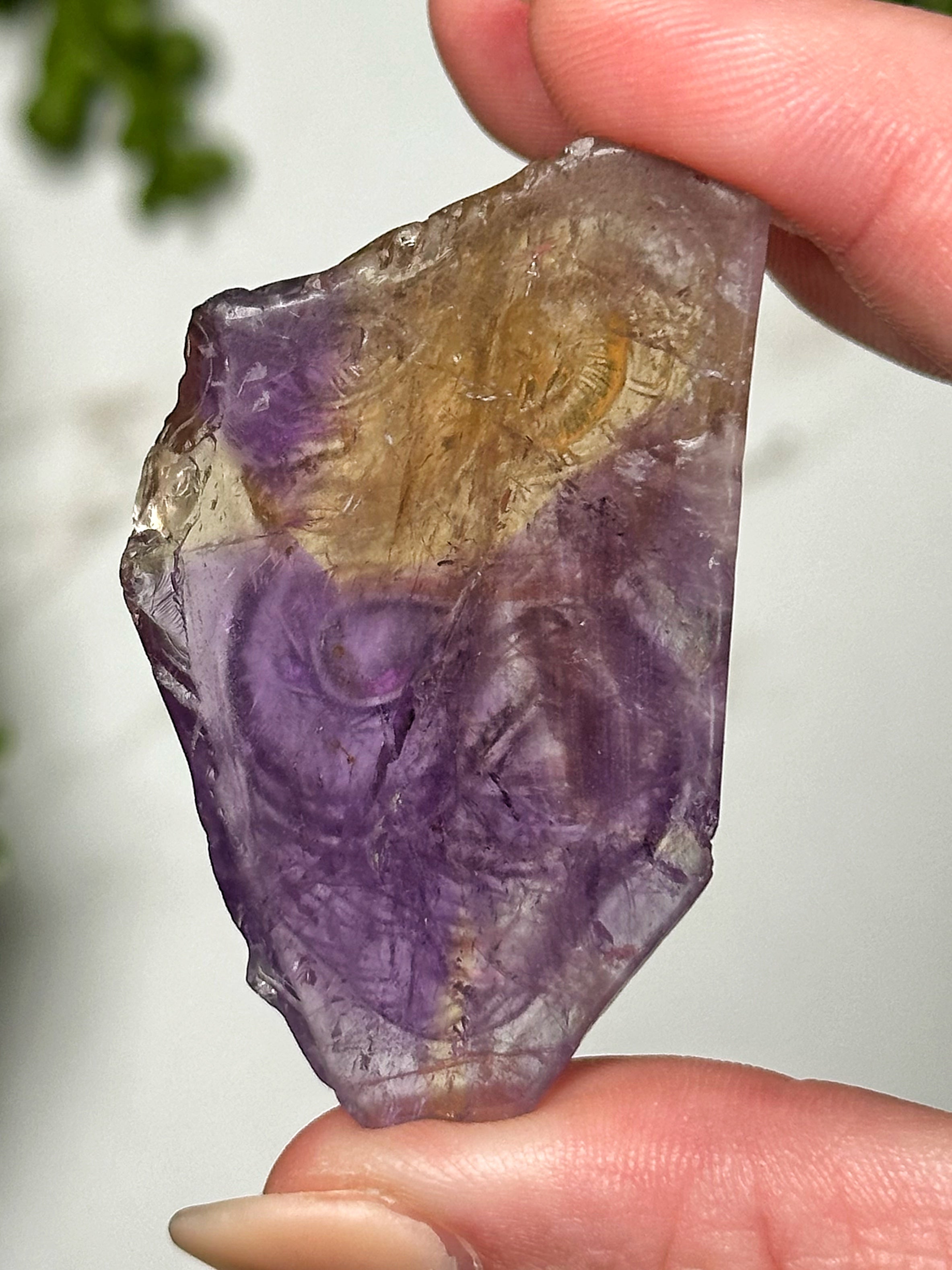 Ametrine Dragon - #1