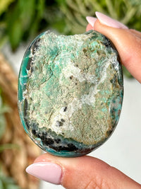 Blue Opalized Petrified Wood Palmstone - #2