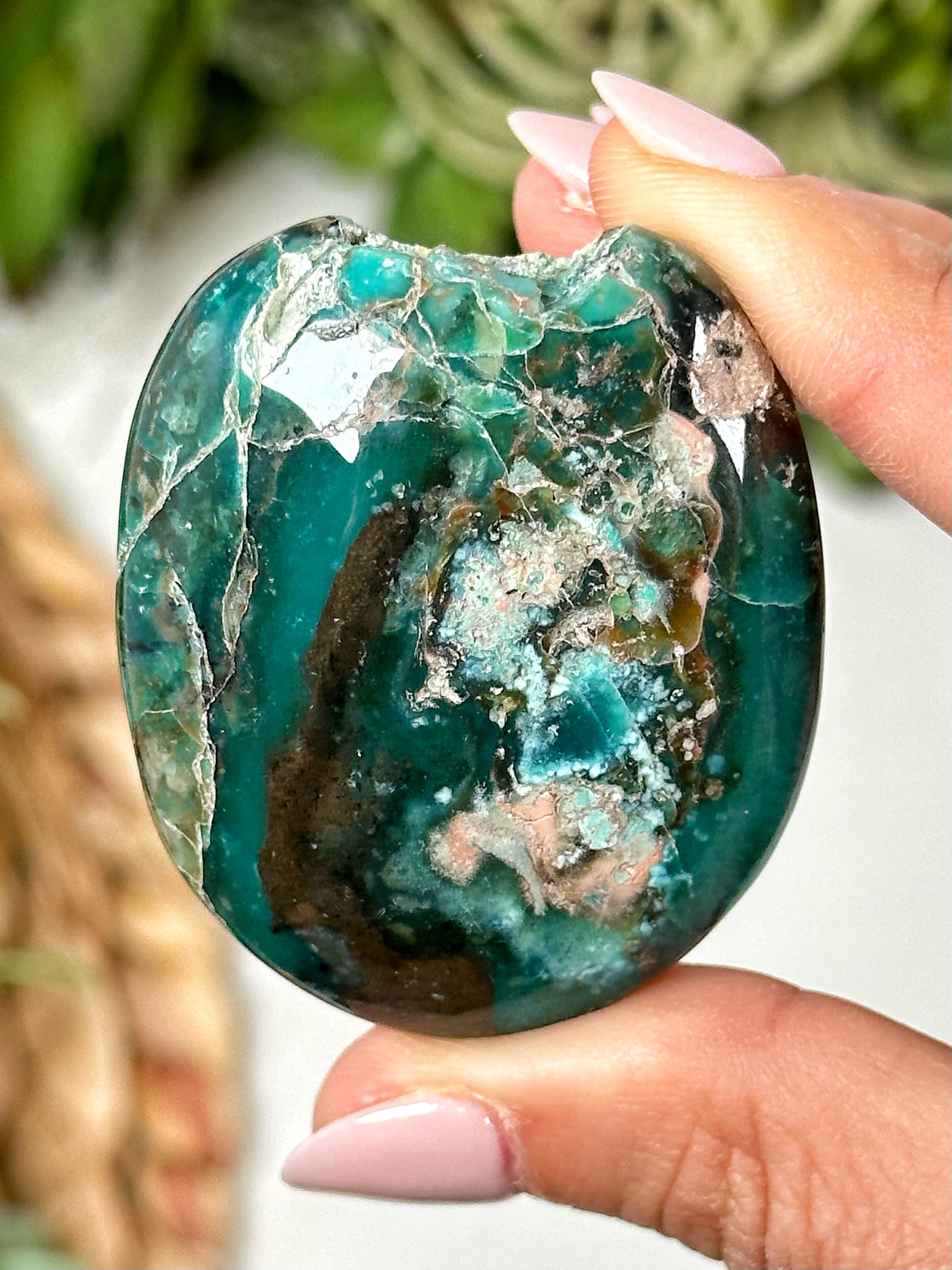 Blue Opalized Petrified Wood Palmstone - #2